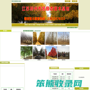 银杏树,银杏树价格,银杏树苗价格,银杏价格,邳州市秀景银杏苗木基地http://www.yinxing8.com