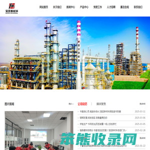 宁夏宝廷新材料科技股份有限公司