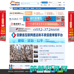 蚌埠论坛