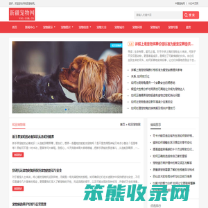 中宠网