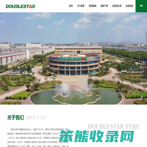 双星集团有限责任公司