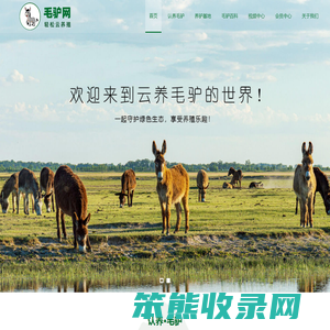 英大驴掌柜毛驴网