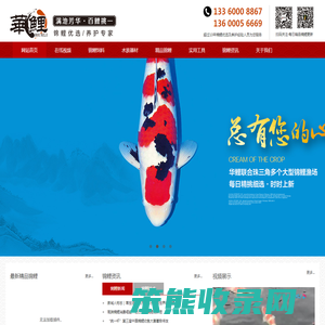 华鲤