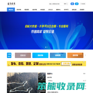 金马标书