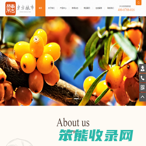 东方棘市