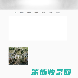大连爱欣礼仪婚庆有限公司