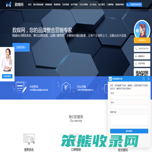 SEO优化公司