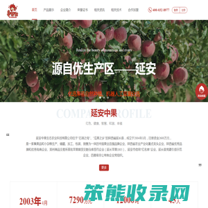 延安中果