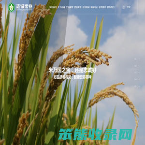 蟹田大米