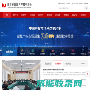 武汉光谷联合产权交易所