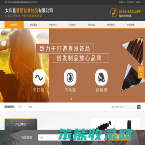 太和县爱丽丝发制品有限公司