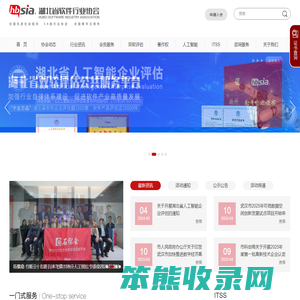 湖北省软件行业协会
