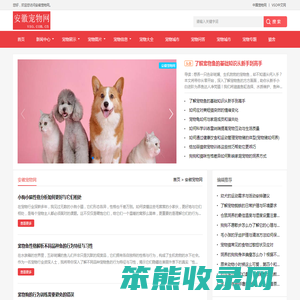 中宠网
