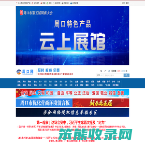 周口网