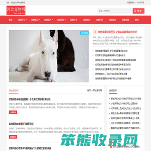 中宠网