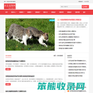 中宠网