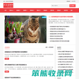 中宠网