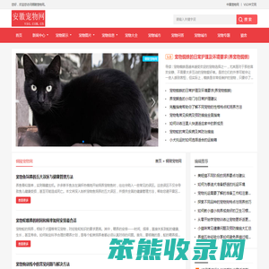 中宠网