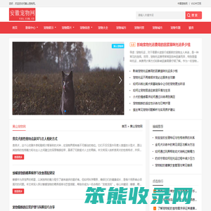 中宠网