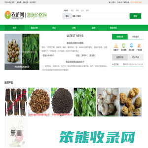 慈菇价格