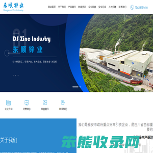 石棉县东顺锌业有限责任公司