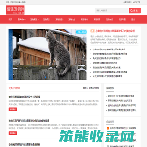 中宠网