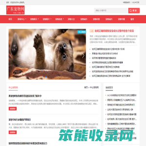 中宠网