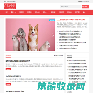 中宠网