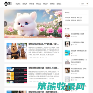 南风网