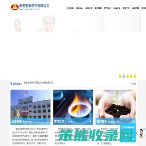 泰安安泰燃气有限公司
