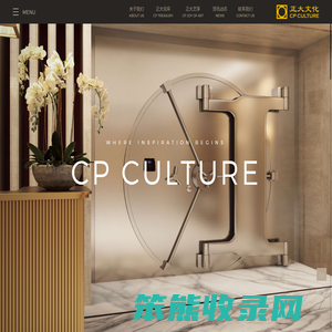 正大文化发展有限公司