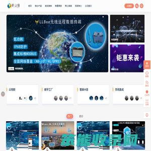 大连莱立佰信息技术有限公司