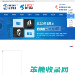 山东省临清市弘正车用轴承有限公司