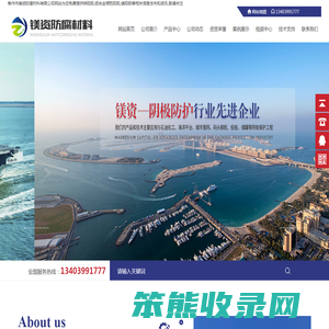 镁阳极
