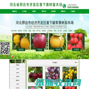 邢台经济开发区善下献军果树苗木场