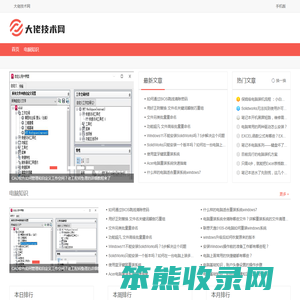 大佬技术网