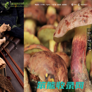 盐渍牛肝菌