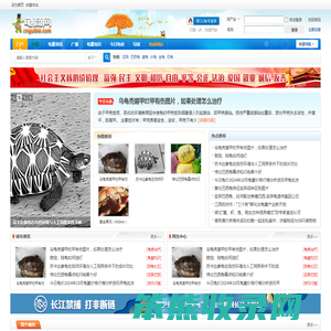 龟商网门户