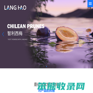 朗浩进出口集团