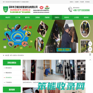 深圳白蚁防治