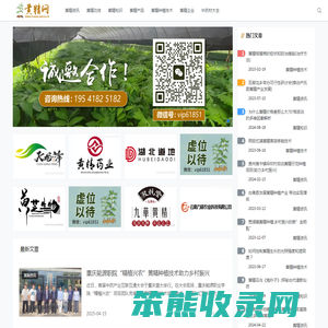 黄精价格行情