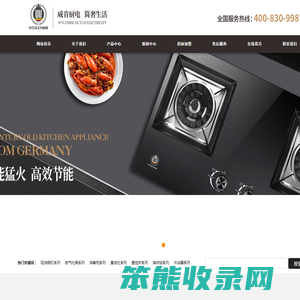 广东威肯电气科技有限公司