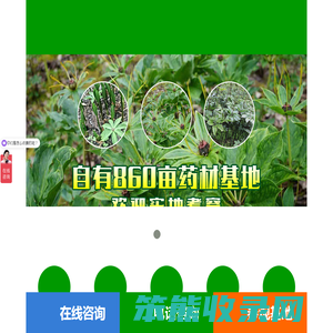 四川成都中草药材种植基地,提供四川白芨种植,四川黄精种植,四川重楼种植,四川天麻种植等药材种子药材种苗