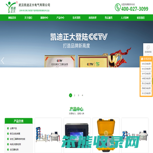 武汉凯迪正大