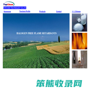 您的网站名称