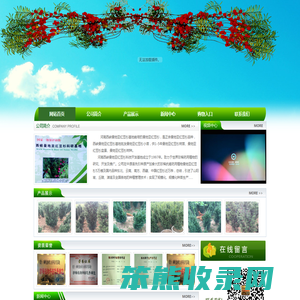 曼地亚红豆杉,曼地亚红豆杉苗木,曼地亚红豆杉基地,河南南阳西峡宝福康红豆杉种植有限公司