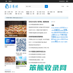 原阳网