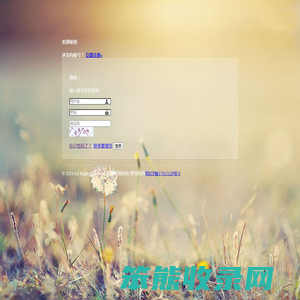 乘浪网络二号