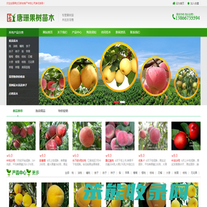 果树苗多个品种