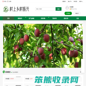 村上乡村振兴
